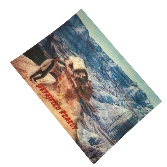 Vintage postcard Holographic Petrified Forest National Park Arizona Petley - Picture 4 of 8